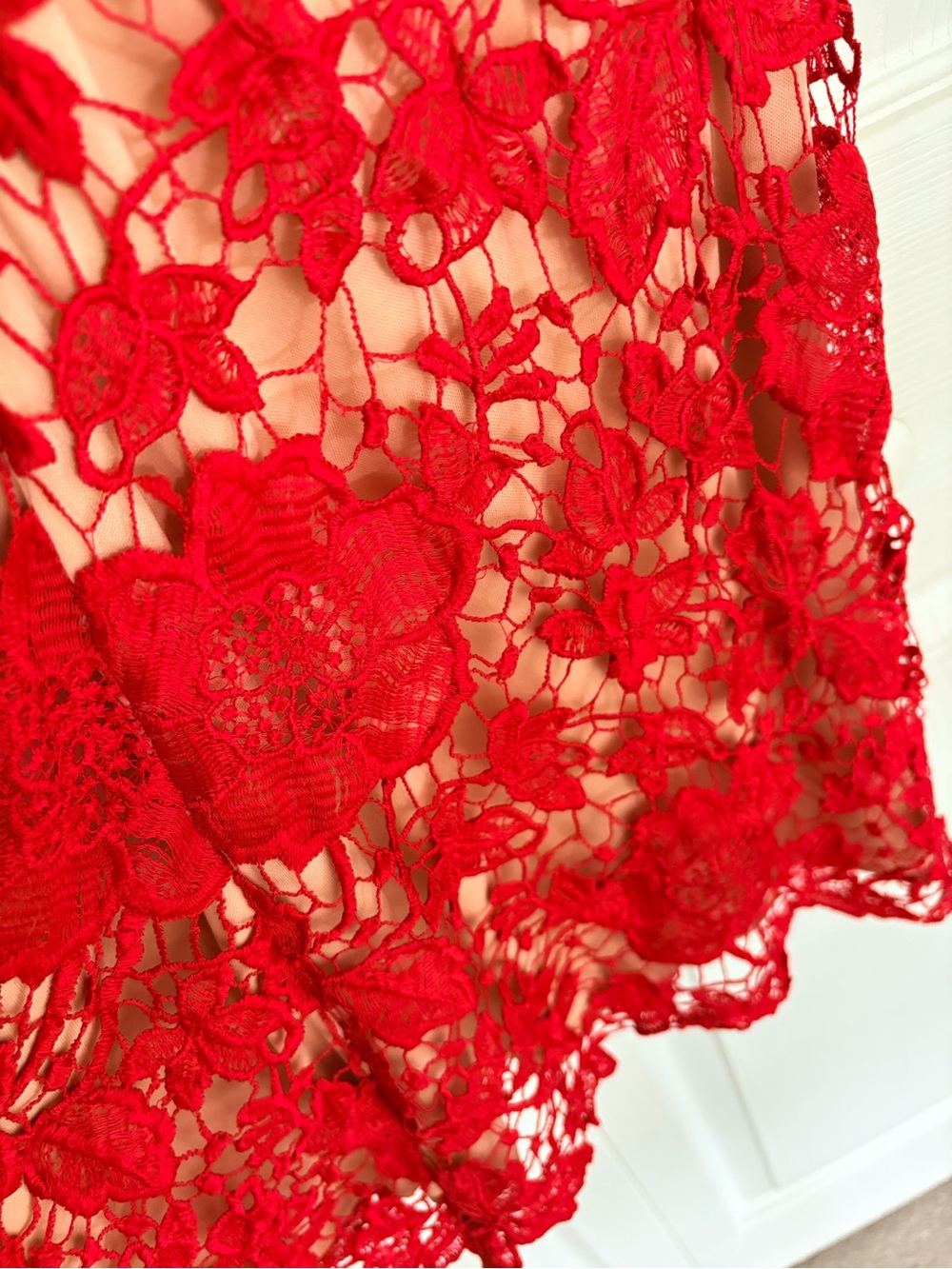 NWT label by five twelve Red Floral Lace Sleeveless Sheath Dress sz 2 - Picture 8 of 8